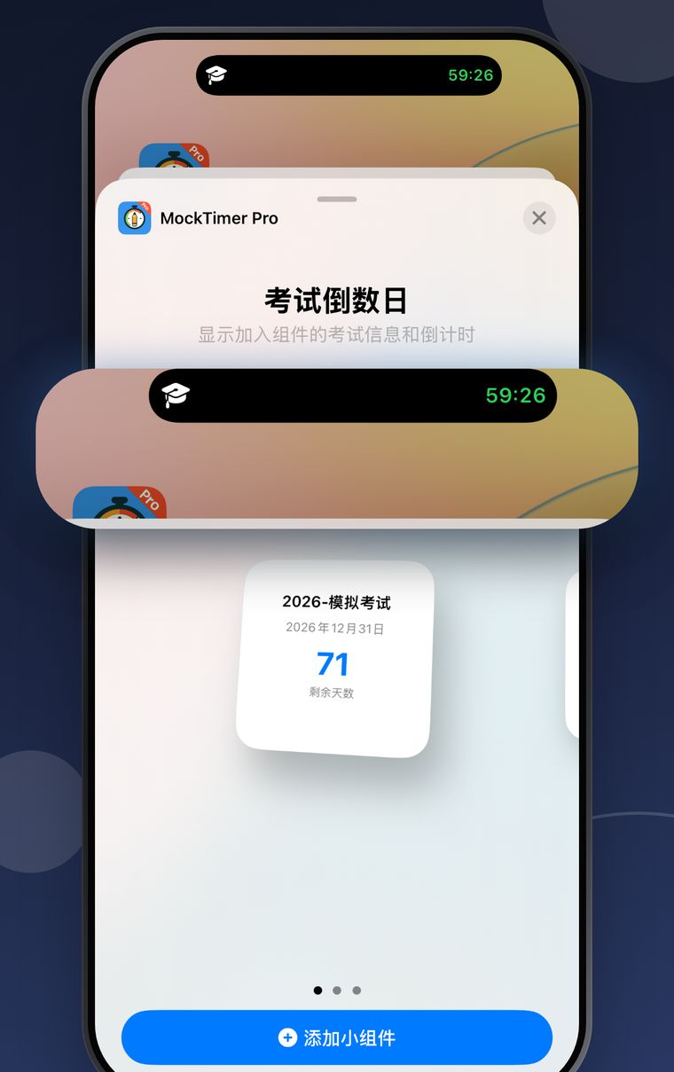 MockTimer Pro 08